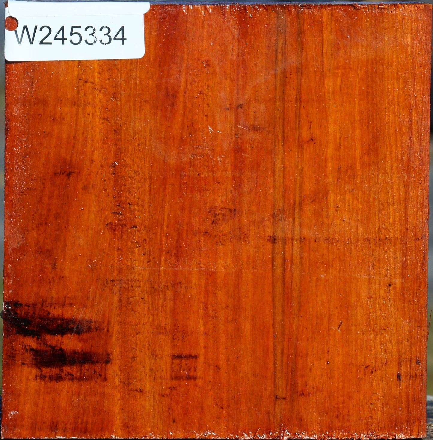 Pernambuco Bowl Blank