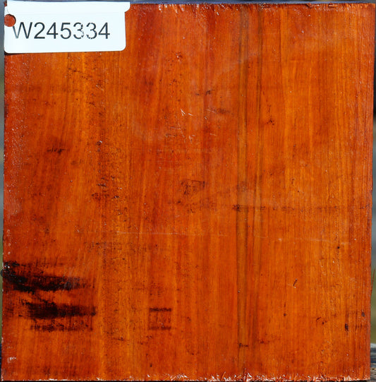 Pernambuco Bowl Blank