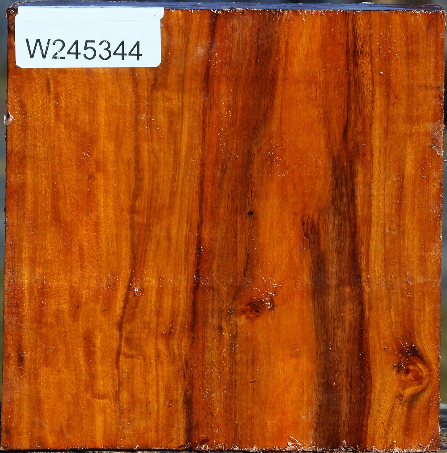 Figured Pernambuco Bowl Blank