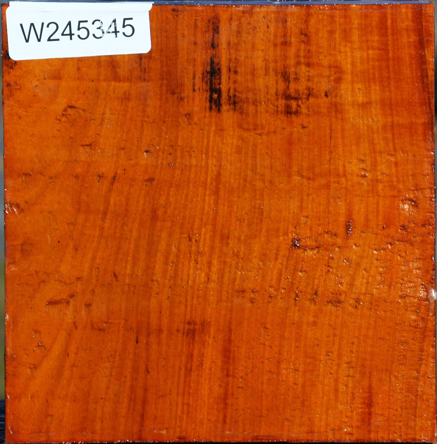 Figured Pernambuco Bowl Blank