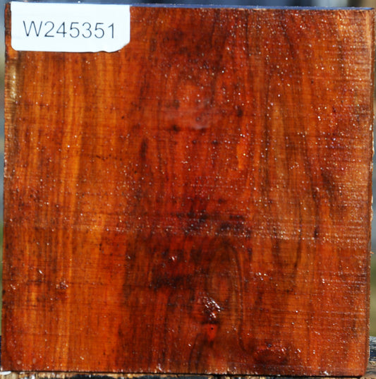 Pernambuco Bowl Blank