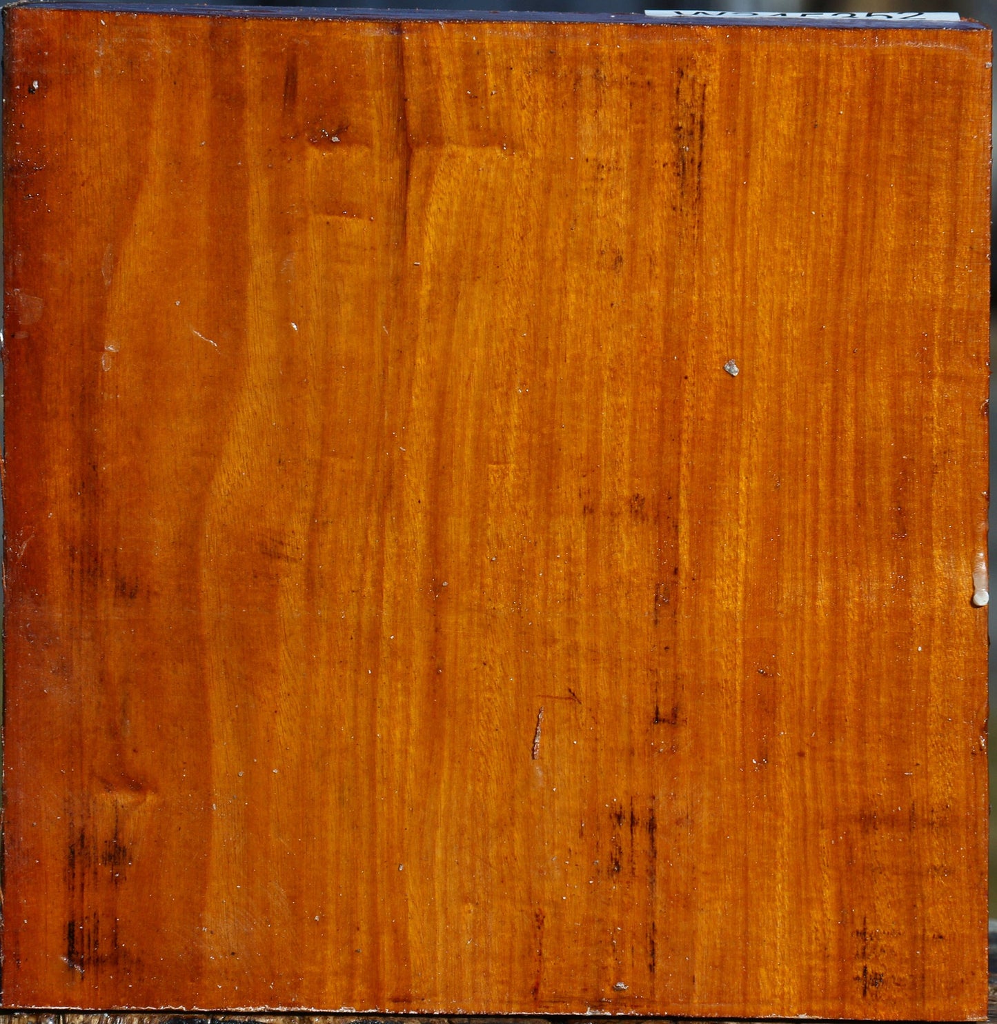 Pernambuco Bowl Blank