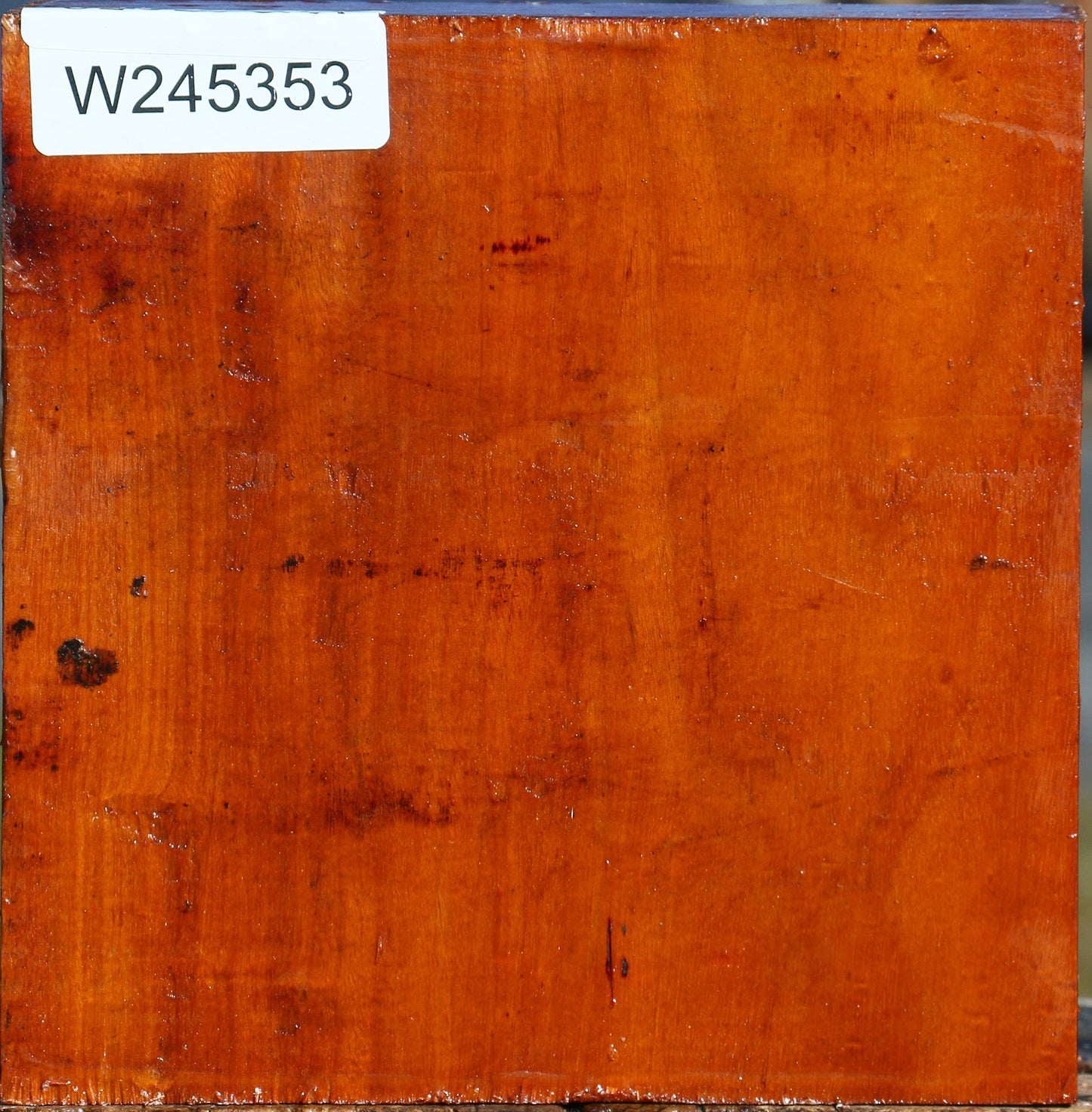Pernambuco Bowl Blank