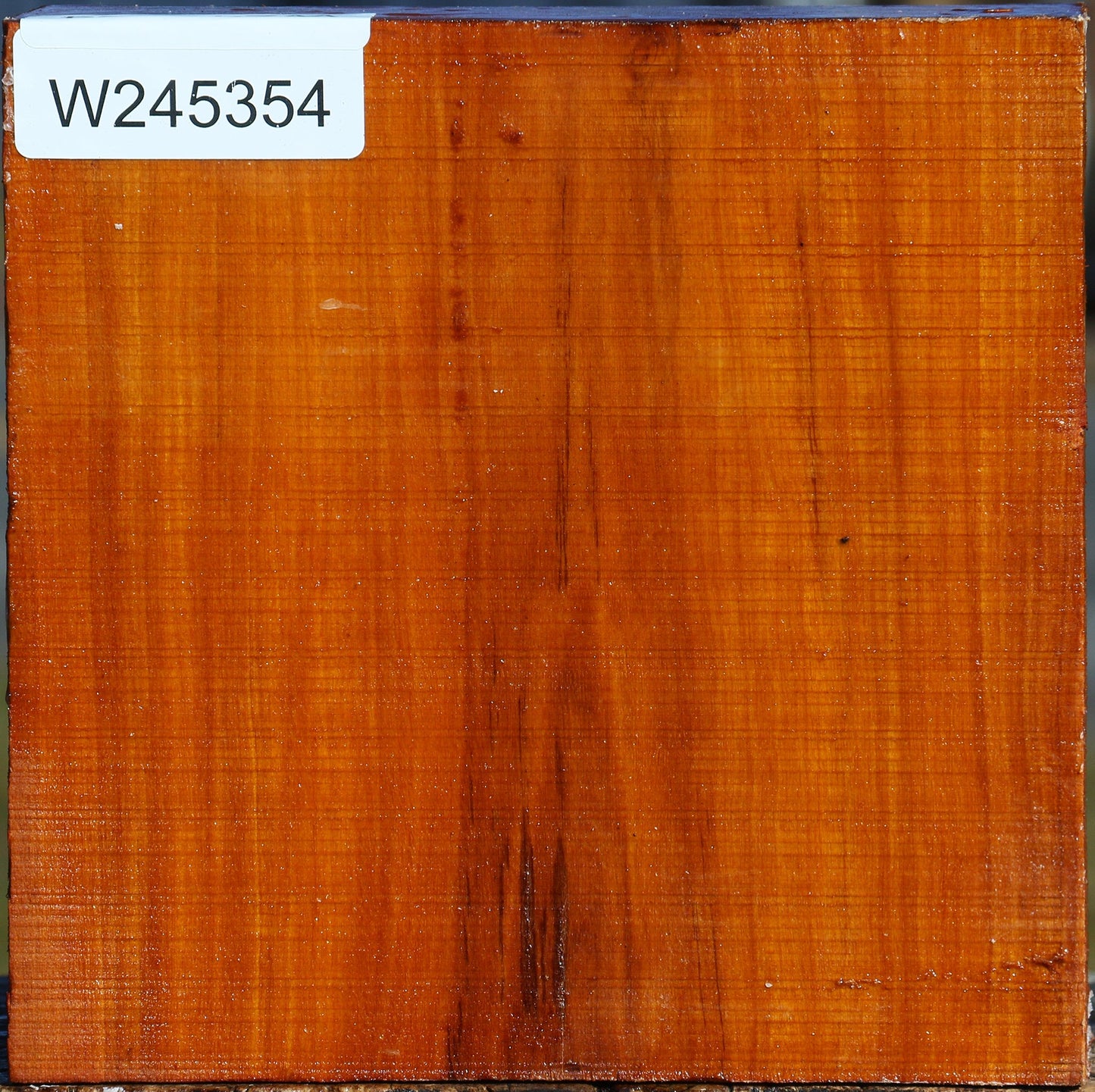 Pernambuco Bowl Blank