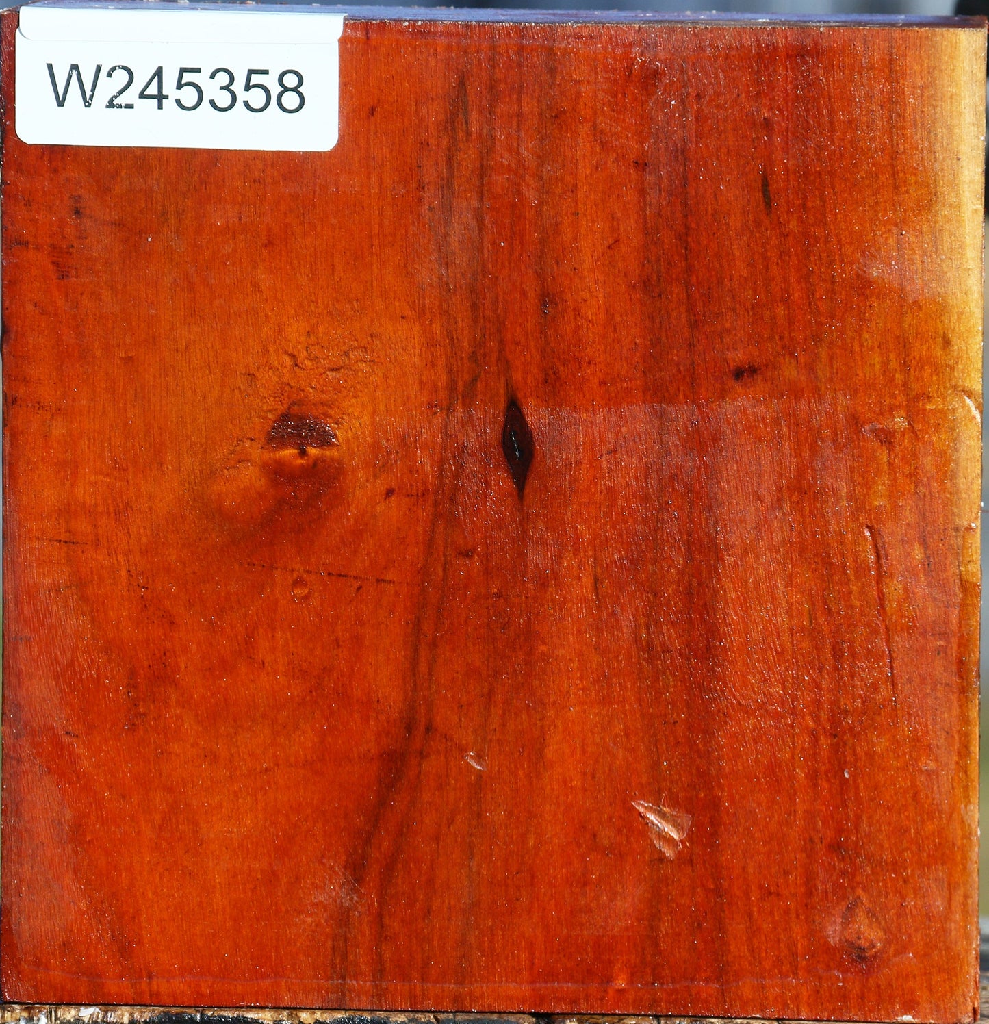 Pernambuco Bowl Blank