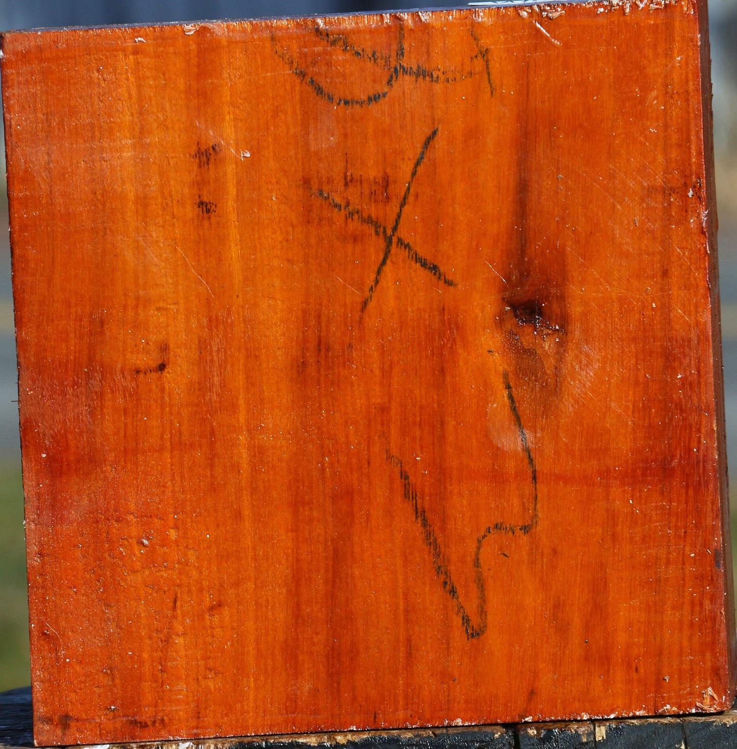 Pernambuco Bowl Blank