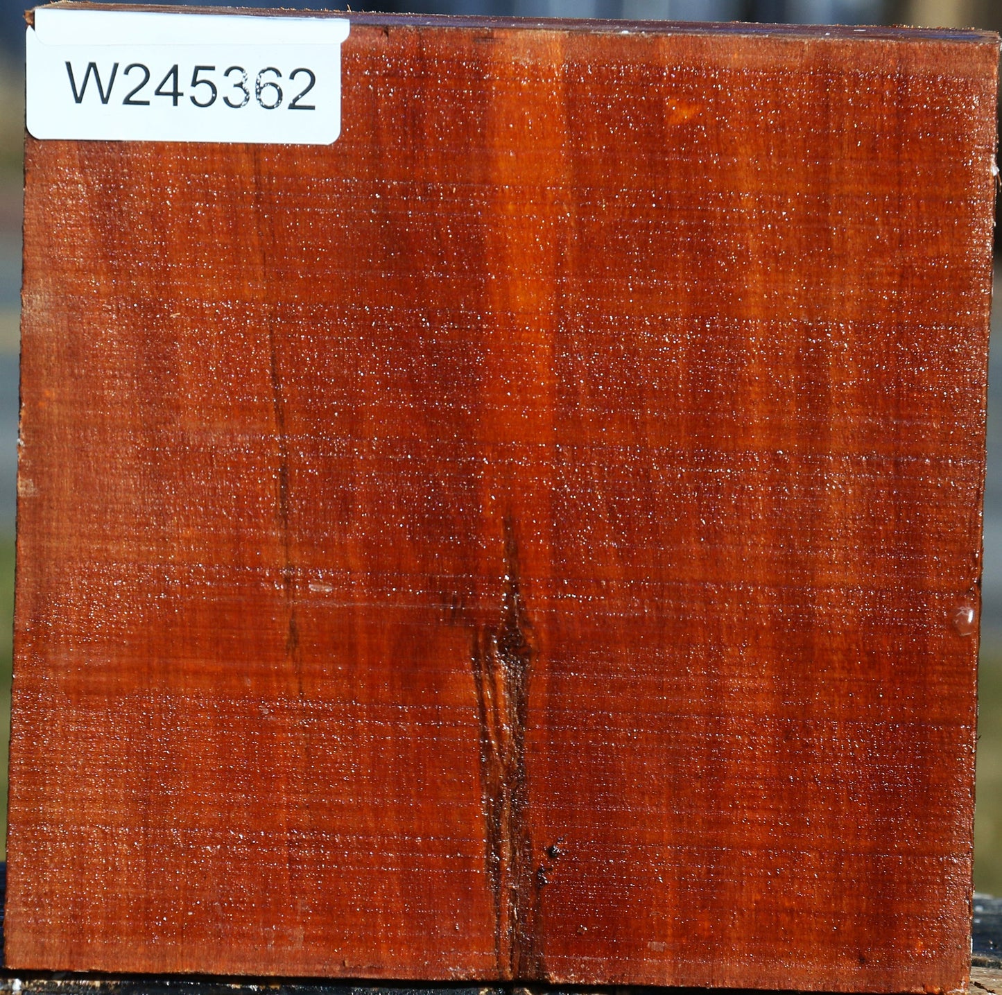 Pernambuco Bowl Blank