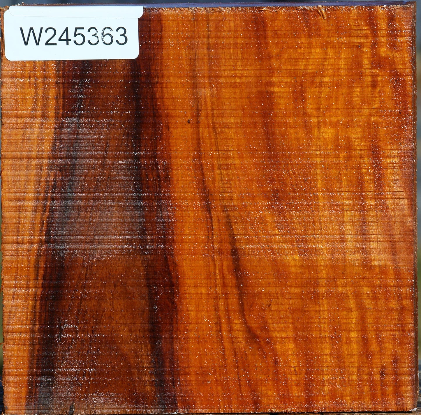 Pernambuco Bowl Blank