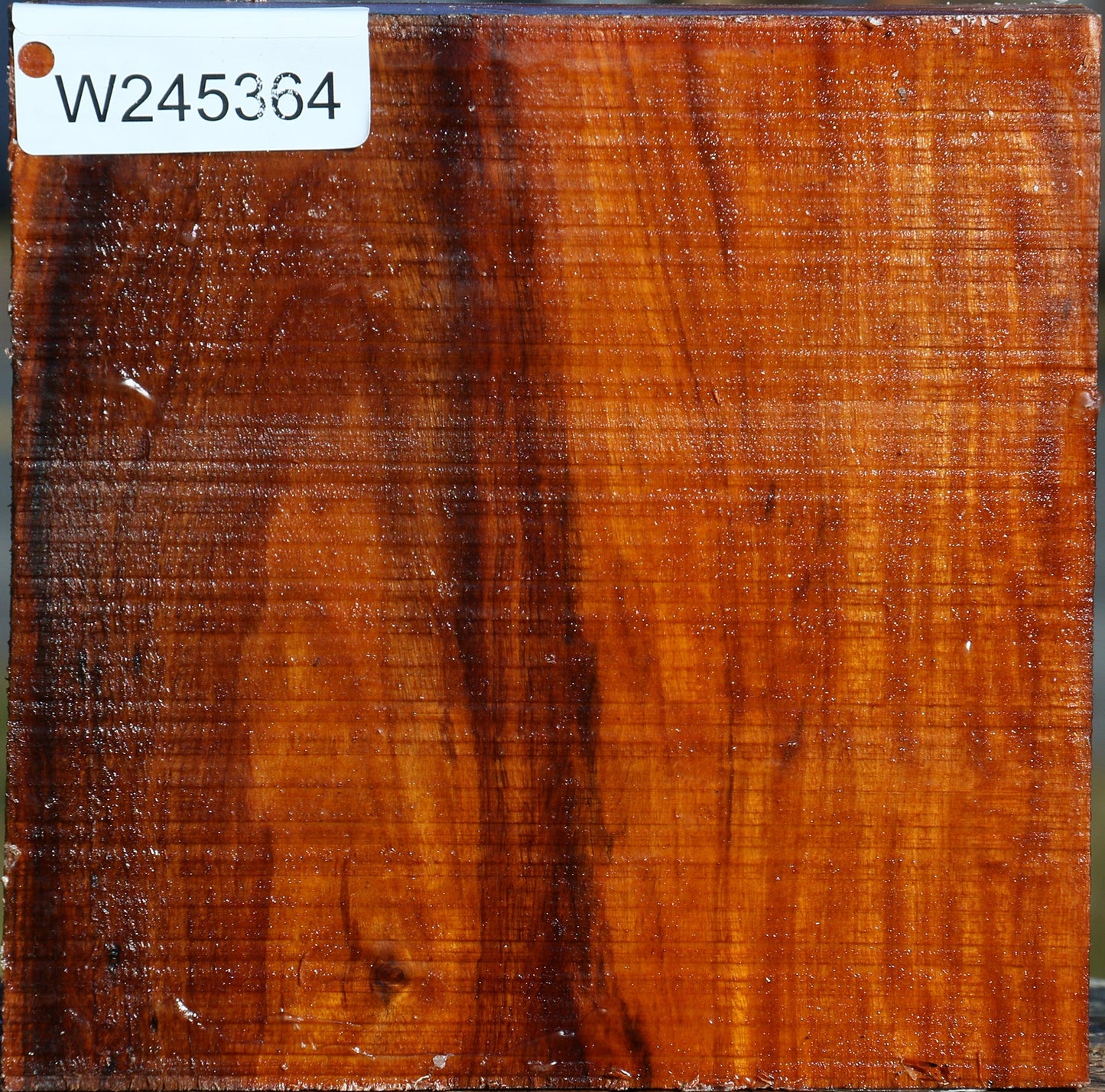 Pernambuco Bowl Blank