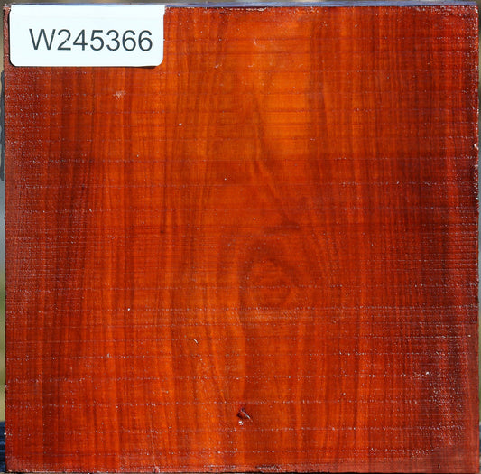 Pernambuco Bowl Blank