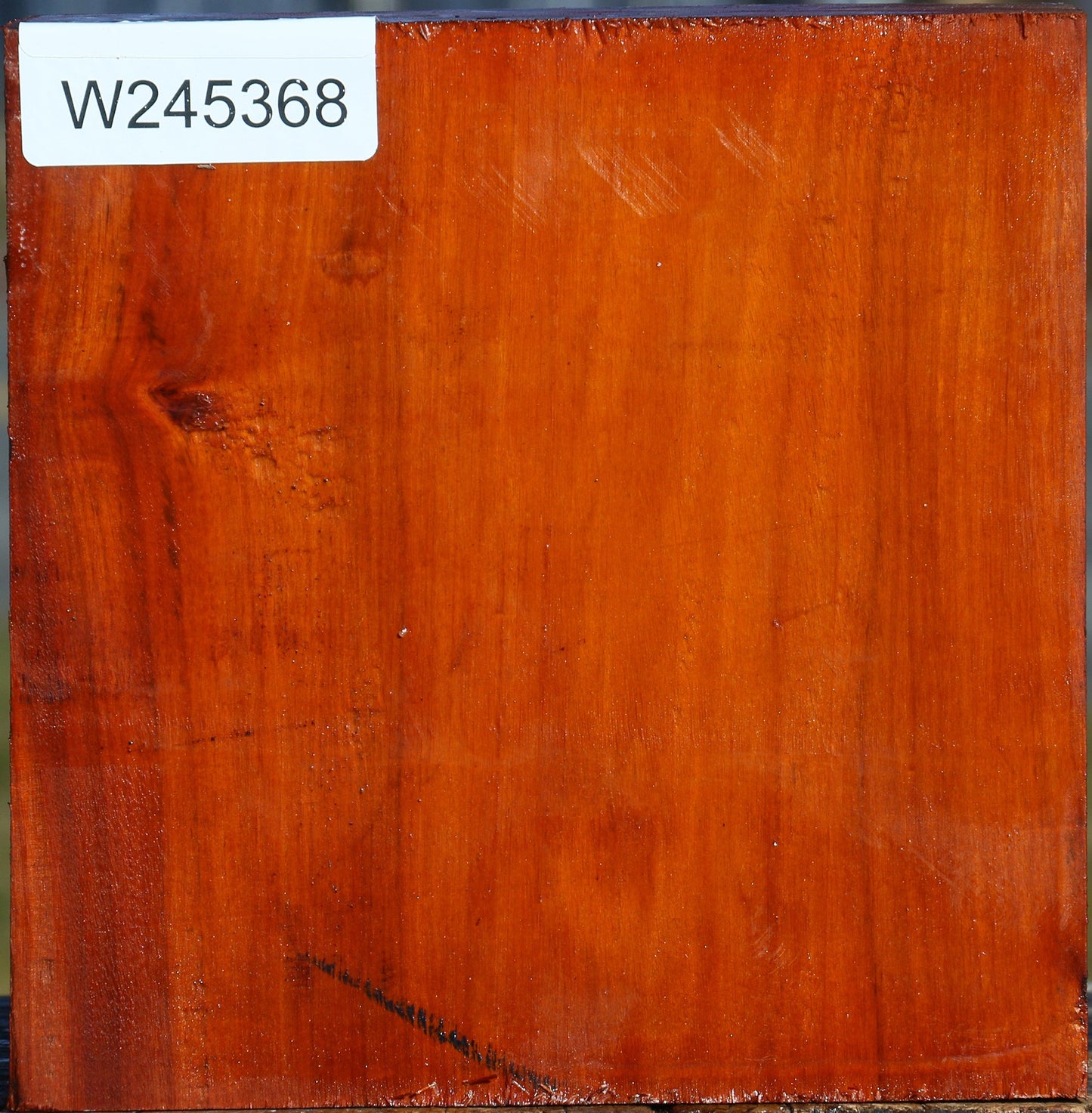 Pernambuco Bowl Blank