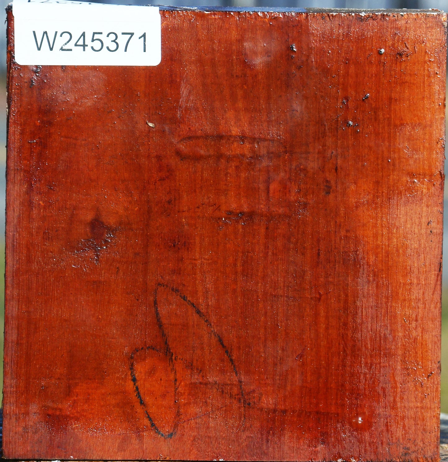 Pernambuco Bowl Blank