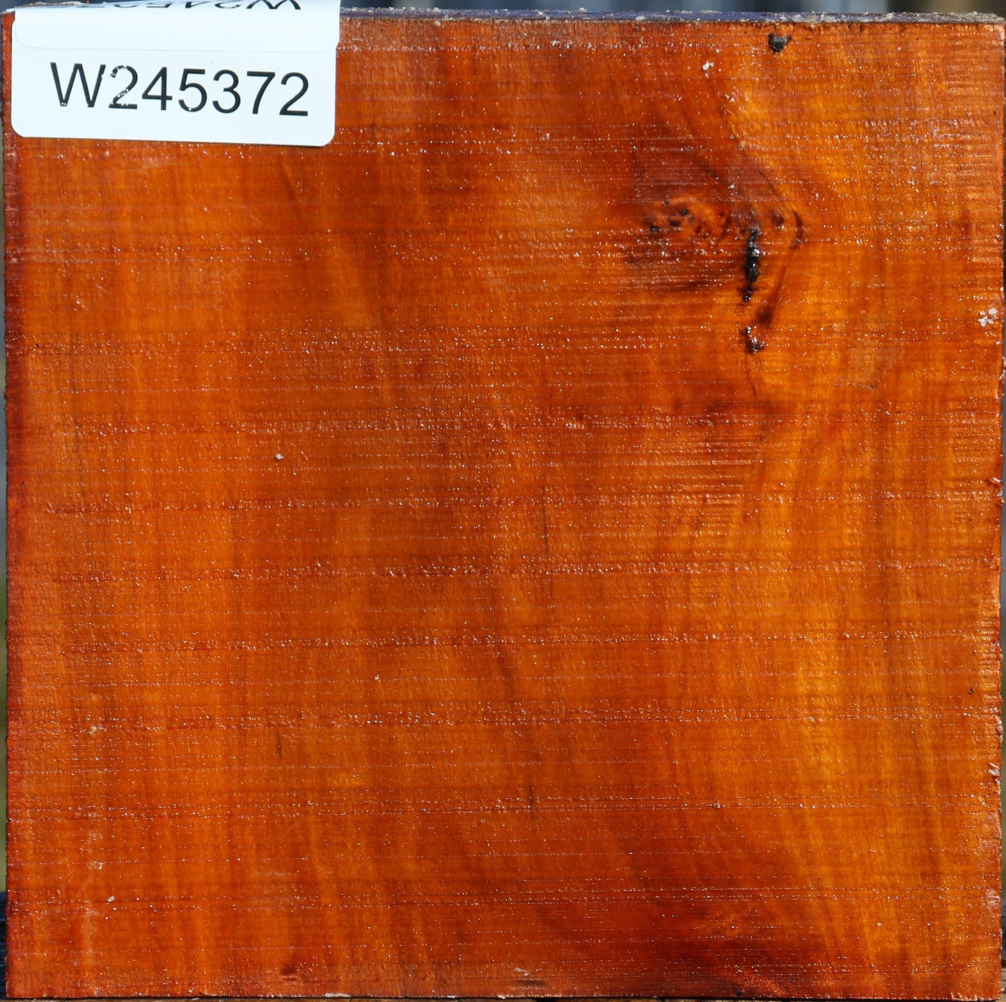 Pernambuco Bowl Blank