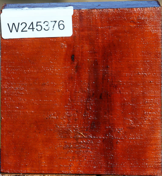 Pernambuco Bowl Blank