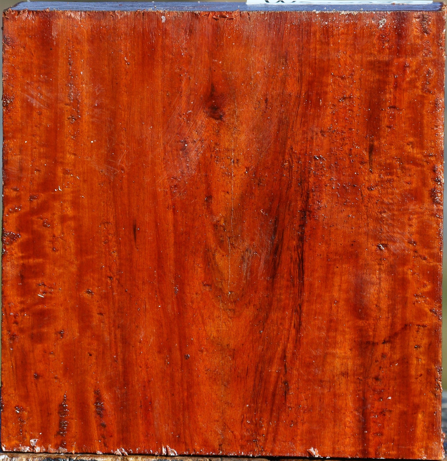 Extra Fancy Pernambuco Bowl Blank