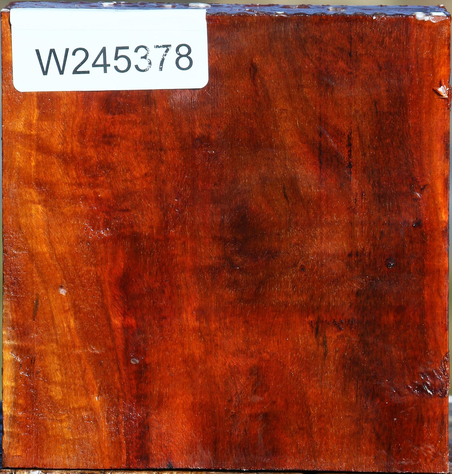 Extra Fancy Pernambuco Bowl Blank