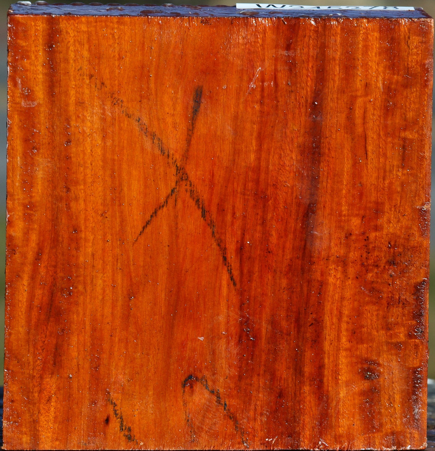 Extra Fancy Pernambuco Bowl Blank