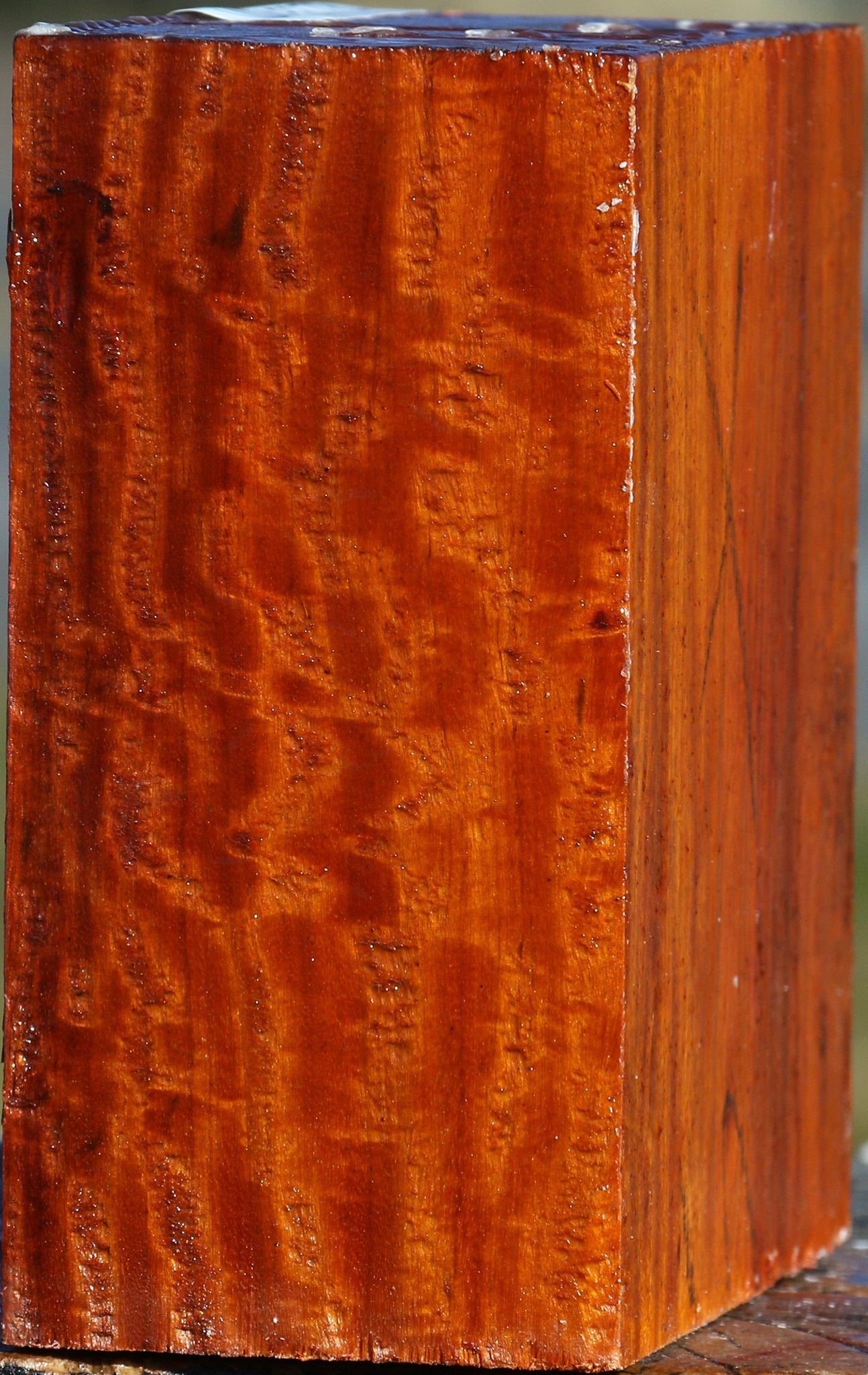 Extra Fancy Pernambuco Bowl Blank