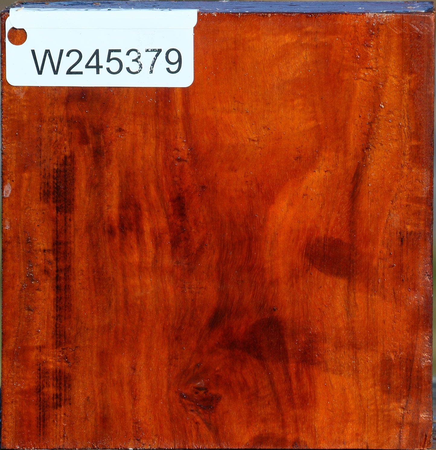 Figured Pernambuco Bowl Blank