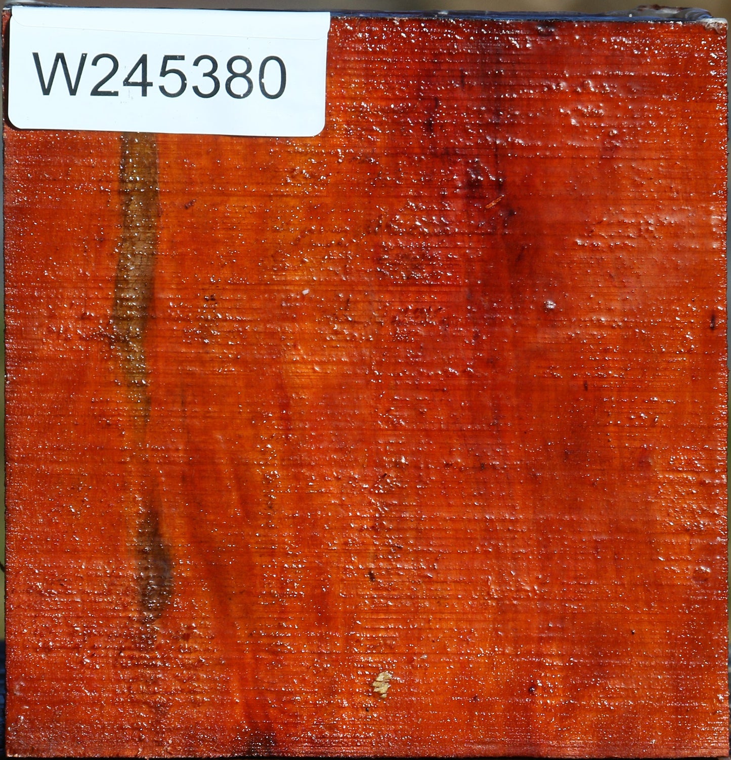 Pernambuco Bowl Blank
