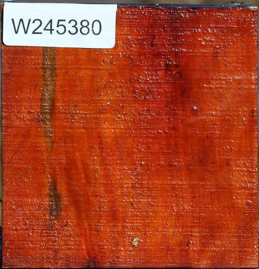 Pernambuco Bowl Blank