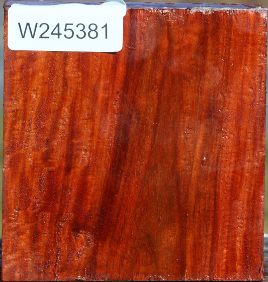 Pernambuco Bowl Blank