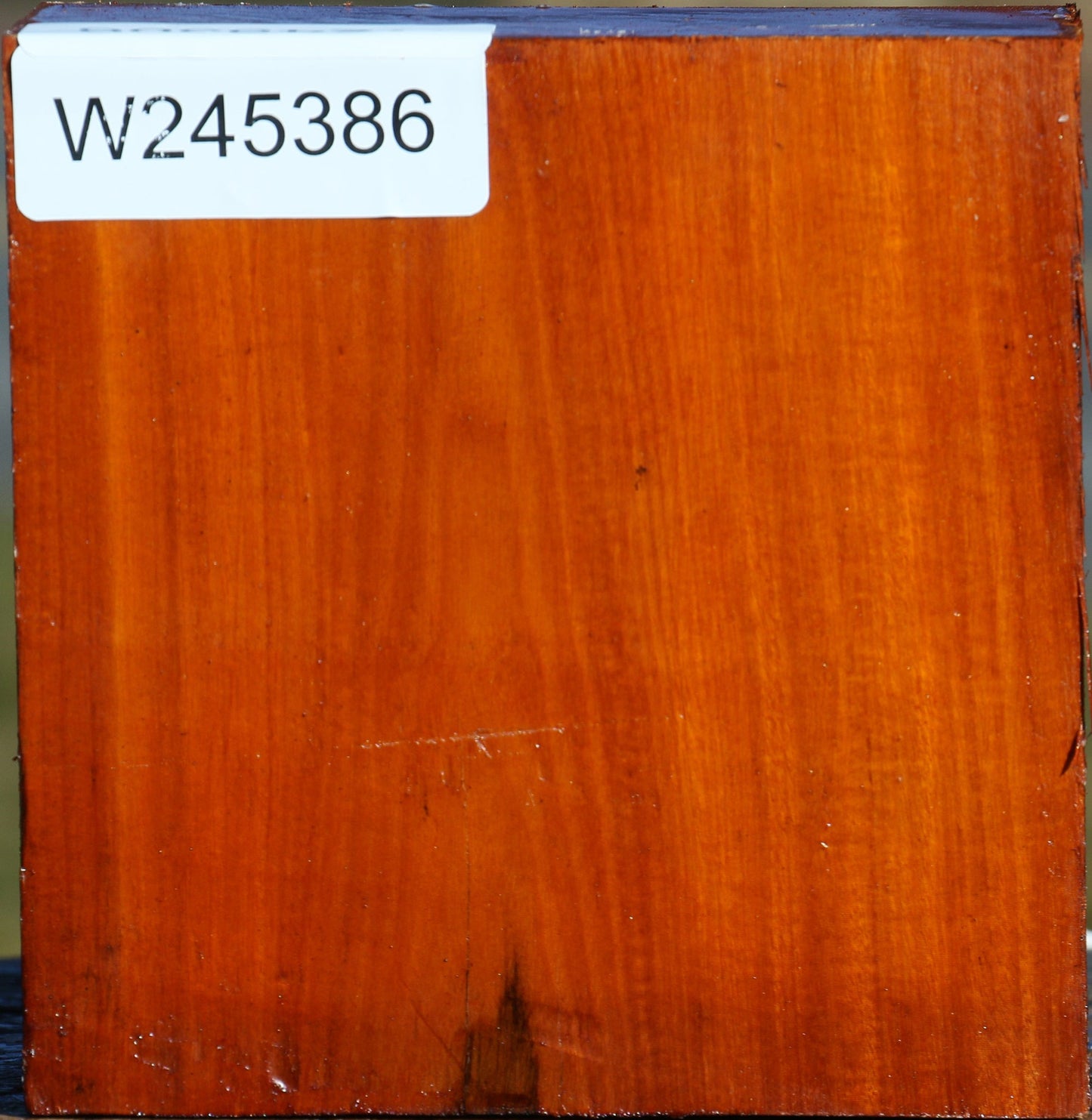 Pernambuco Bowl Blank