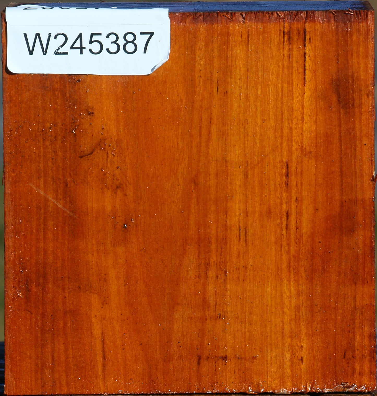 Pernambuco Bowl Blank