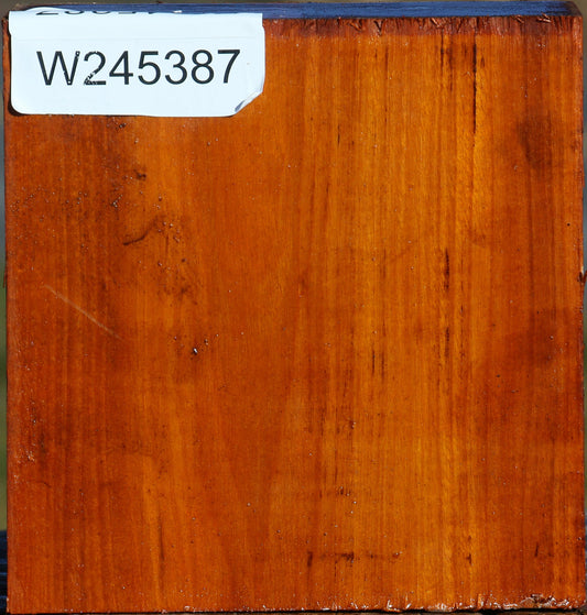 Pernambuco Bowl Blank