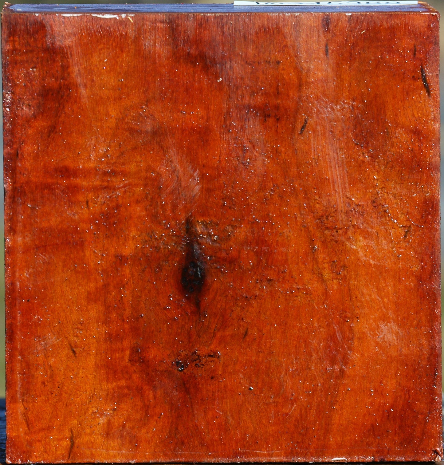 Extra Fancy Pernambuco Bowl Blank