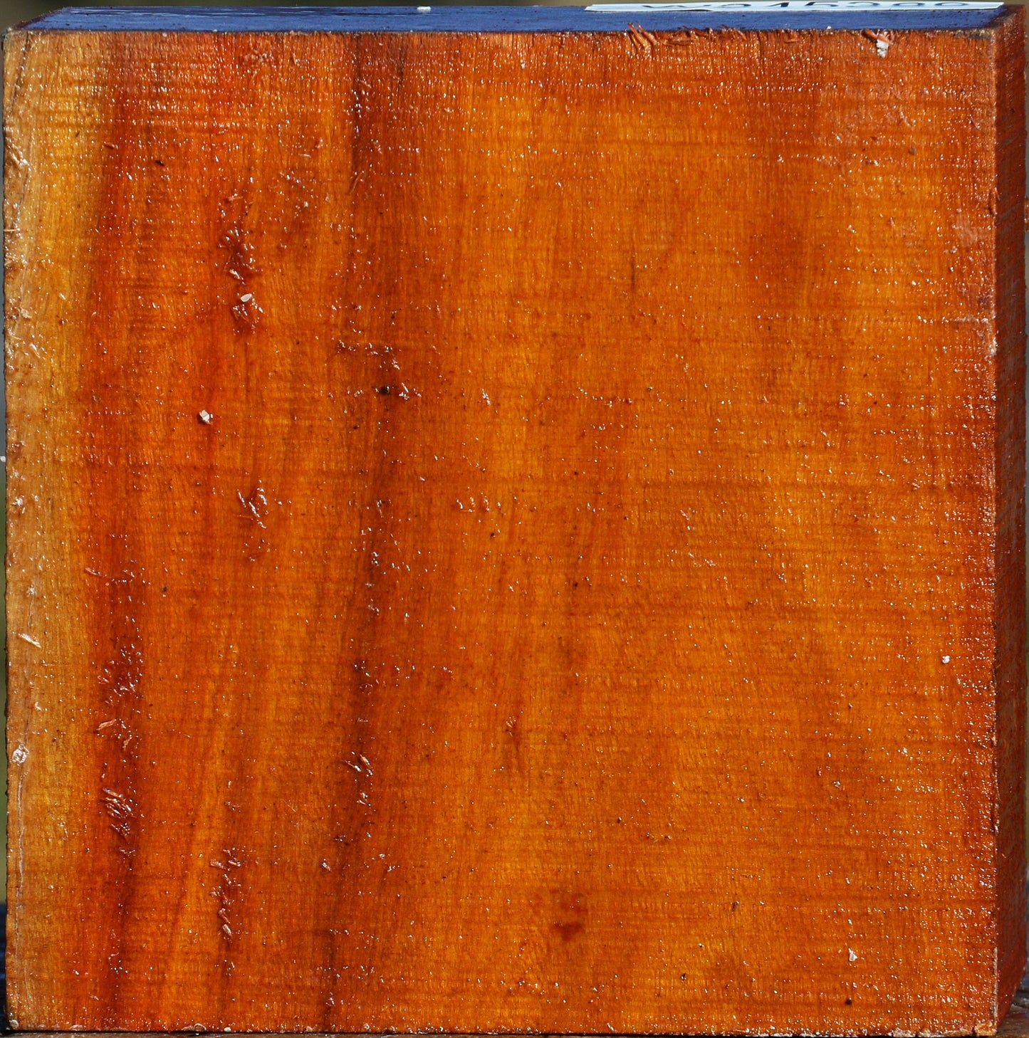 Pernambuco Bowl Blank