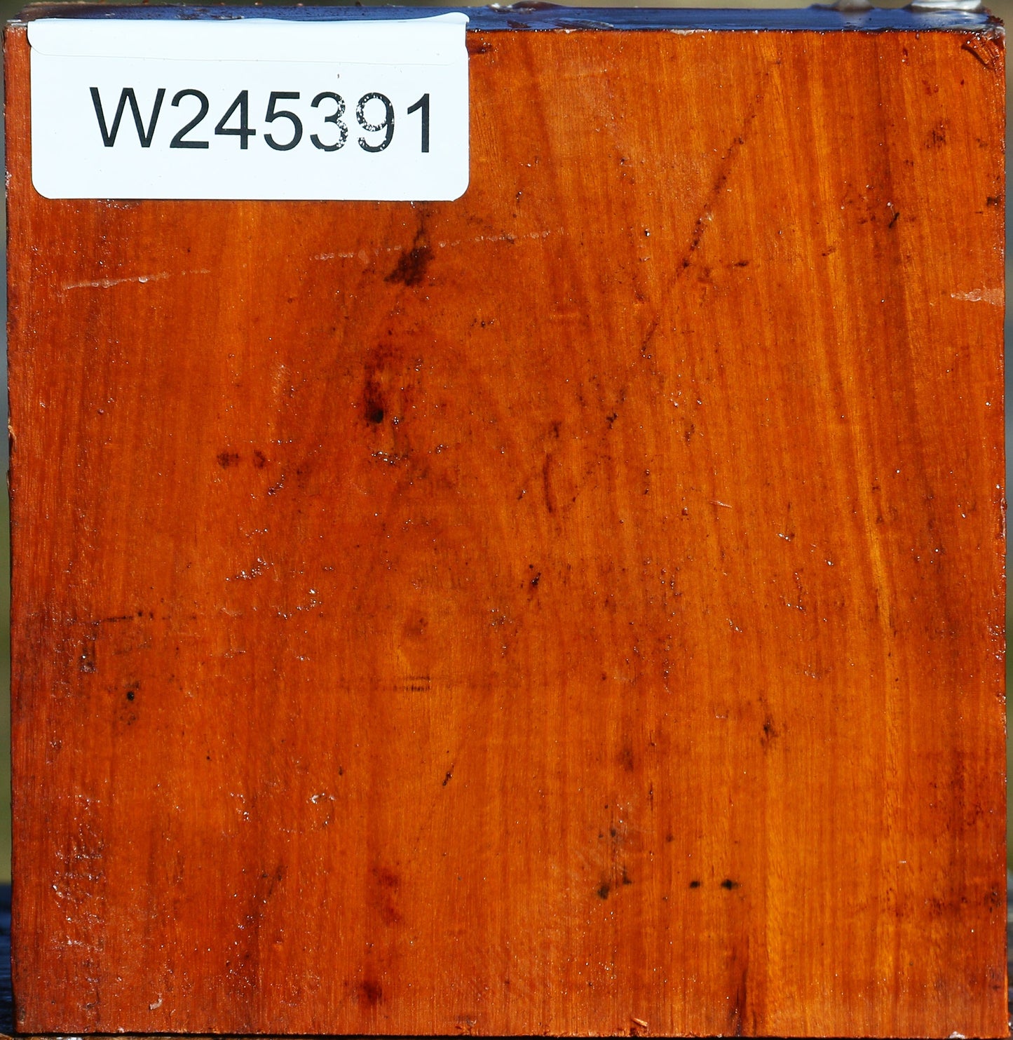 Pernambuco Bowl Blank