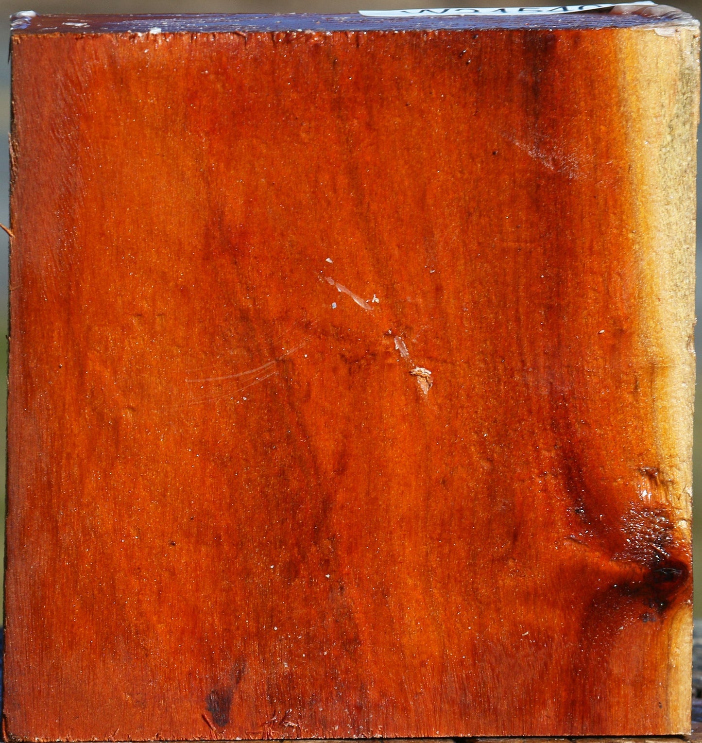 Pernambuco Bowl Blank