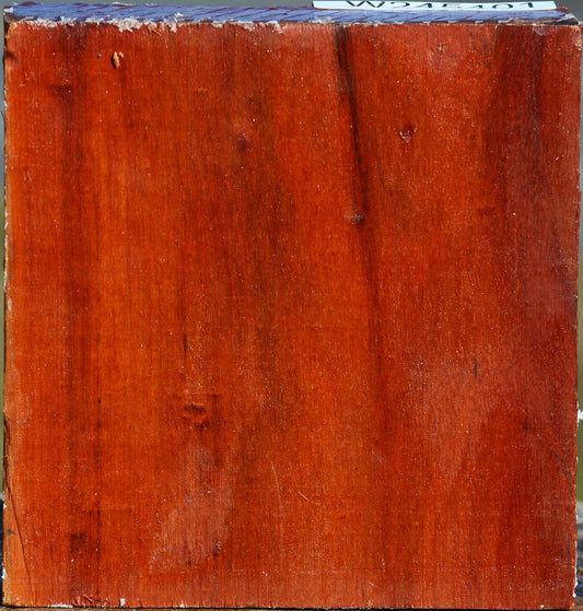 Pernambuco Bowl Blank