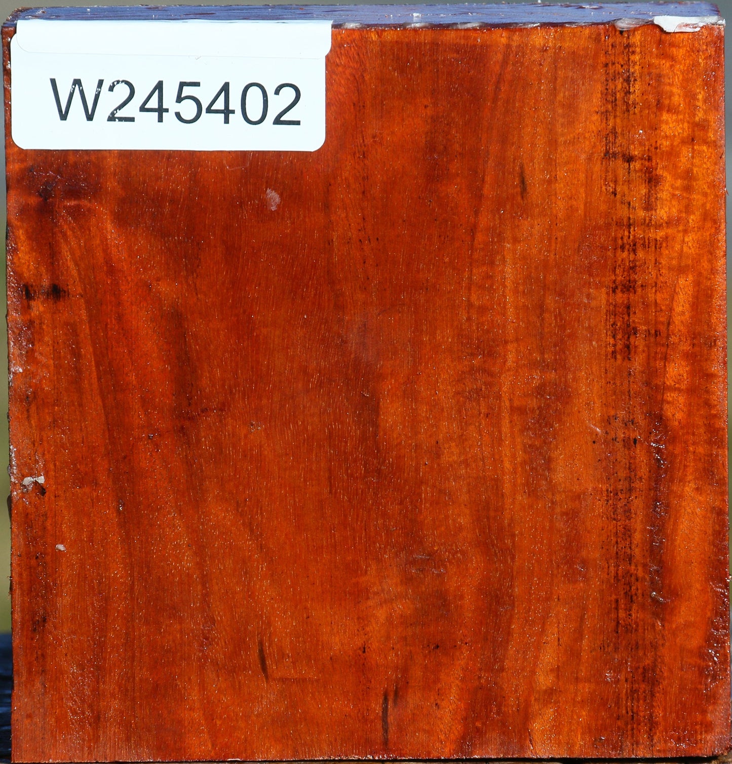 Pernambuco Bowl Blank