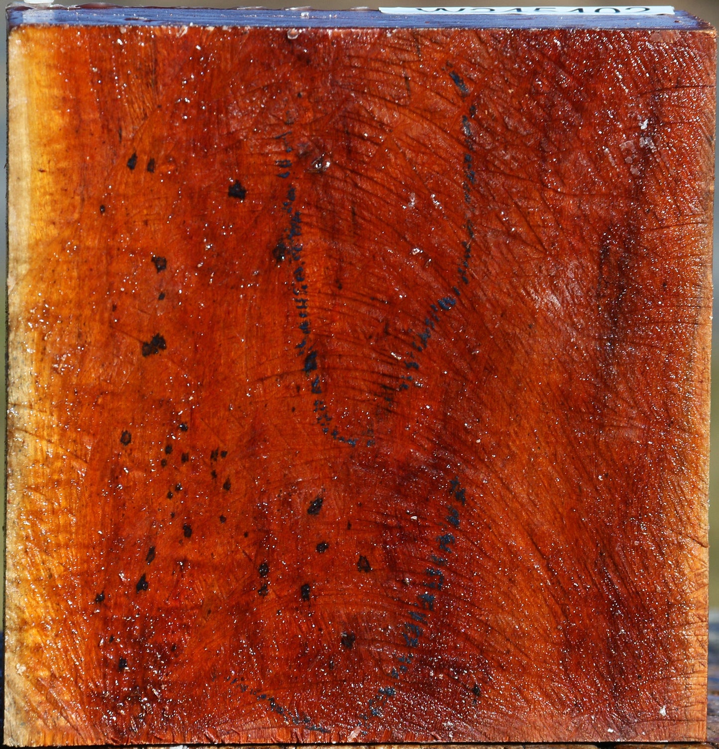 Pernambuco Bowl Blank