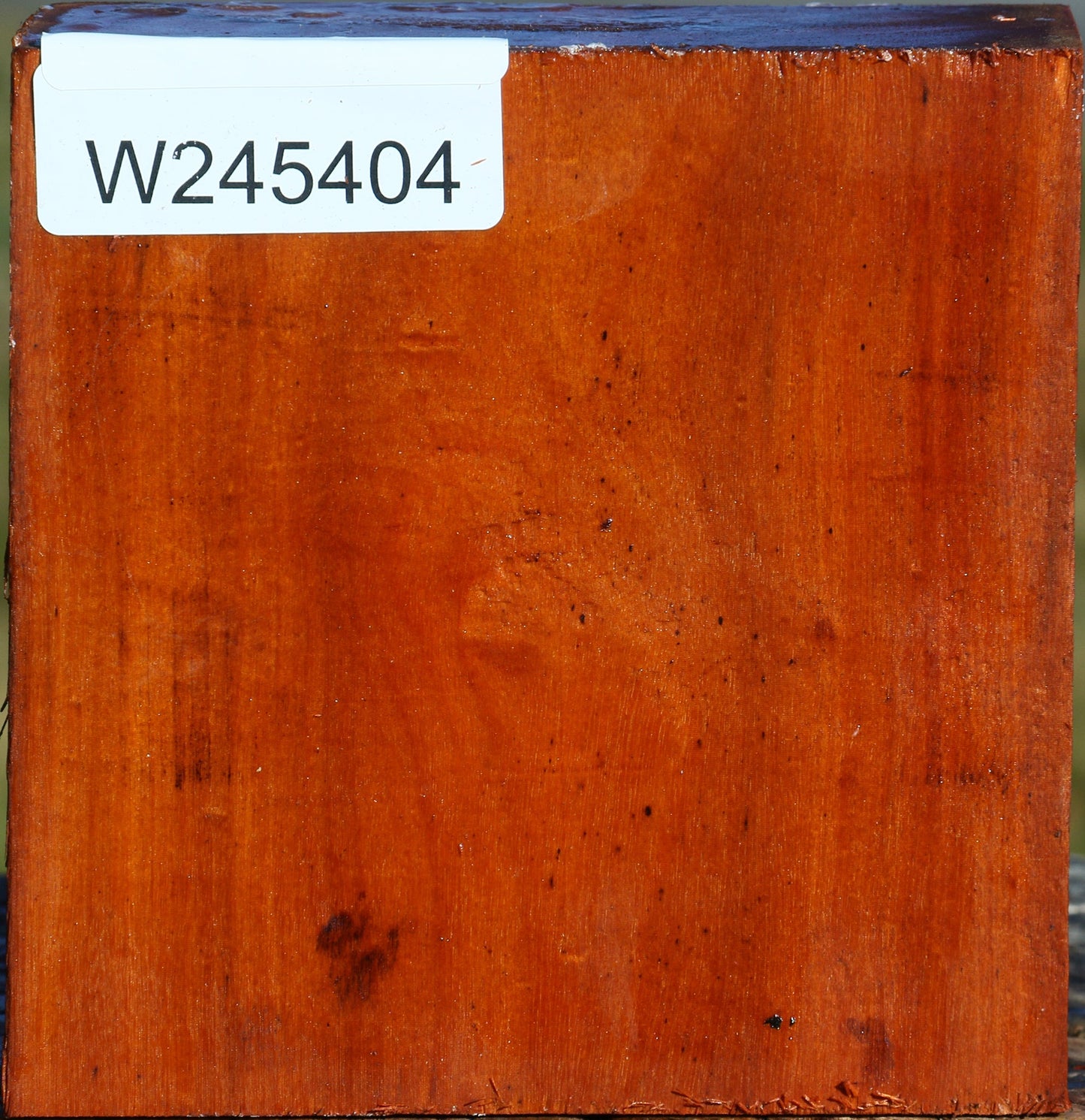 Pernambuco Bowl Blank