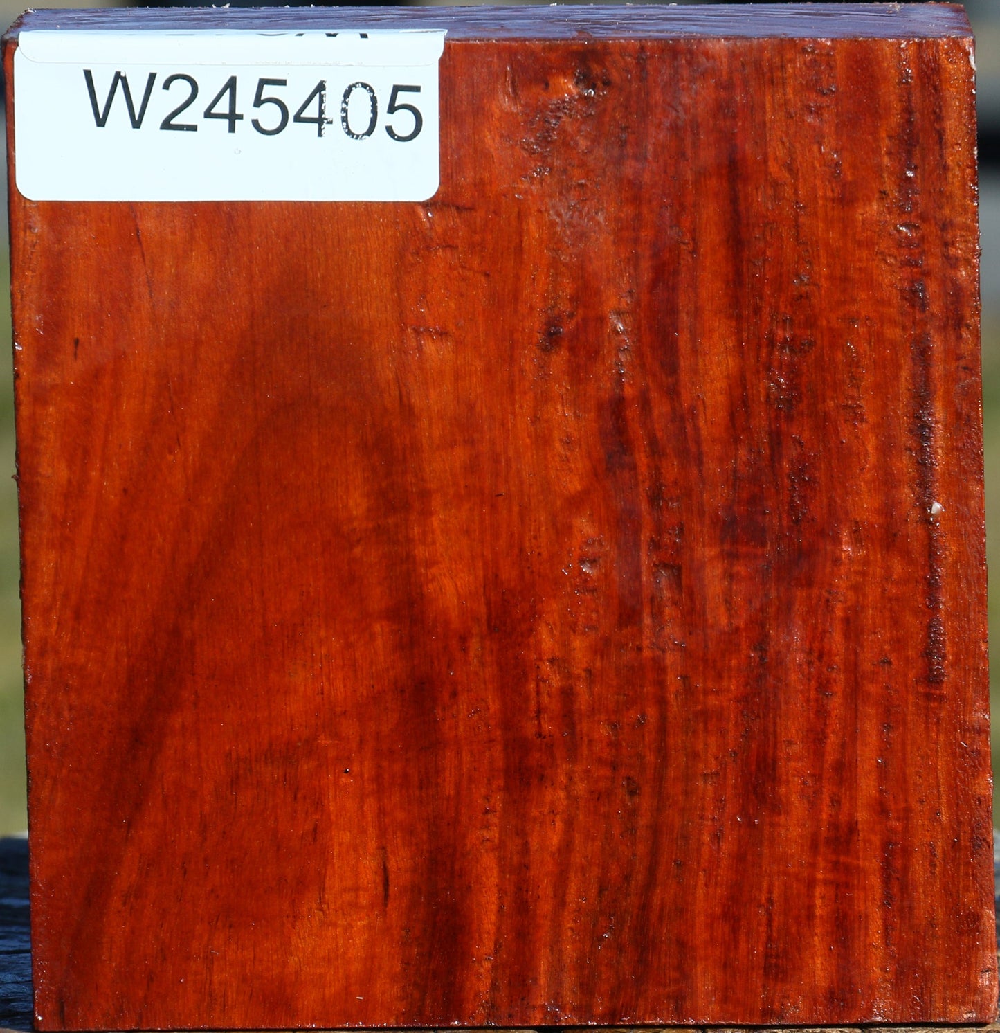 Figured Pernambuco Bowl Blank