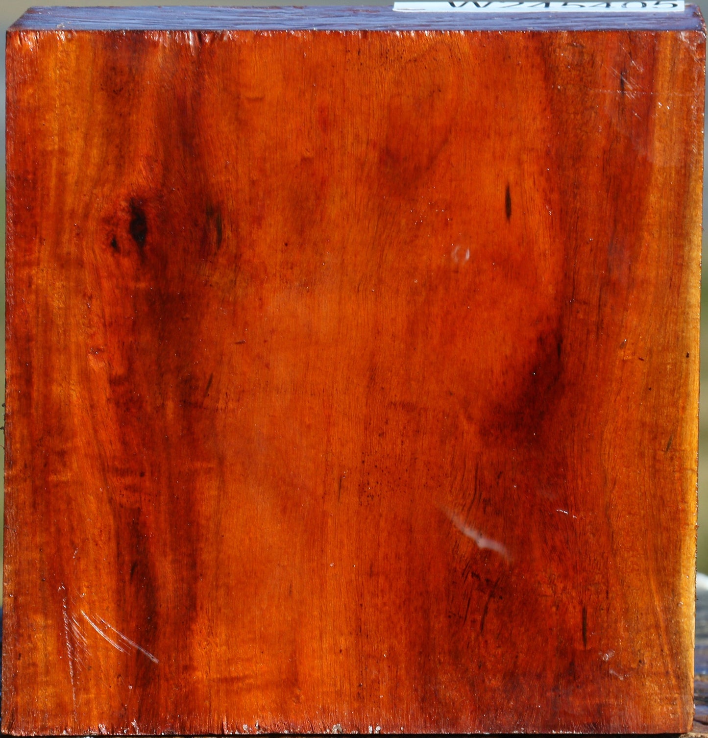 Figured Pernambuco Bowl Blank