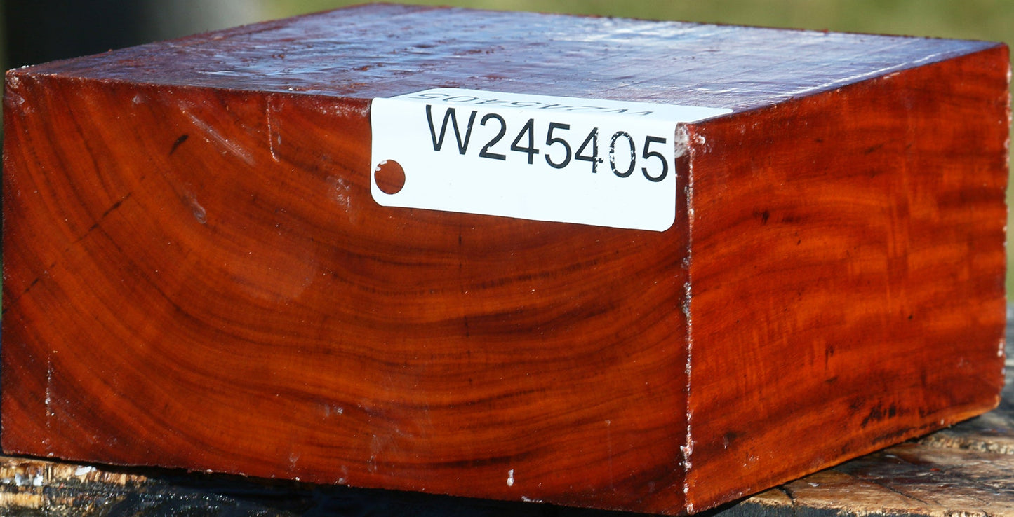 Figured Pernambuco Bowl Blank