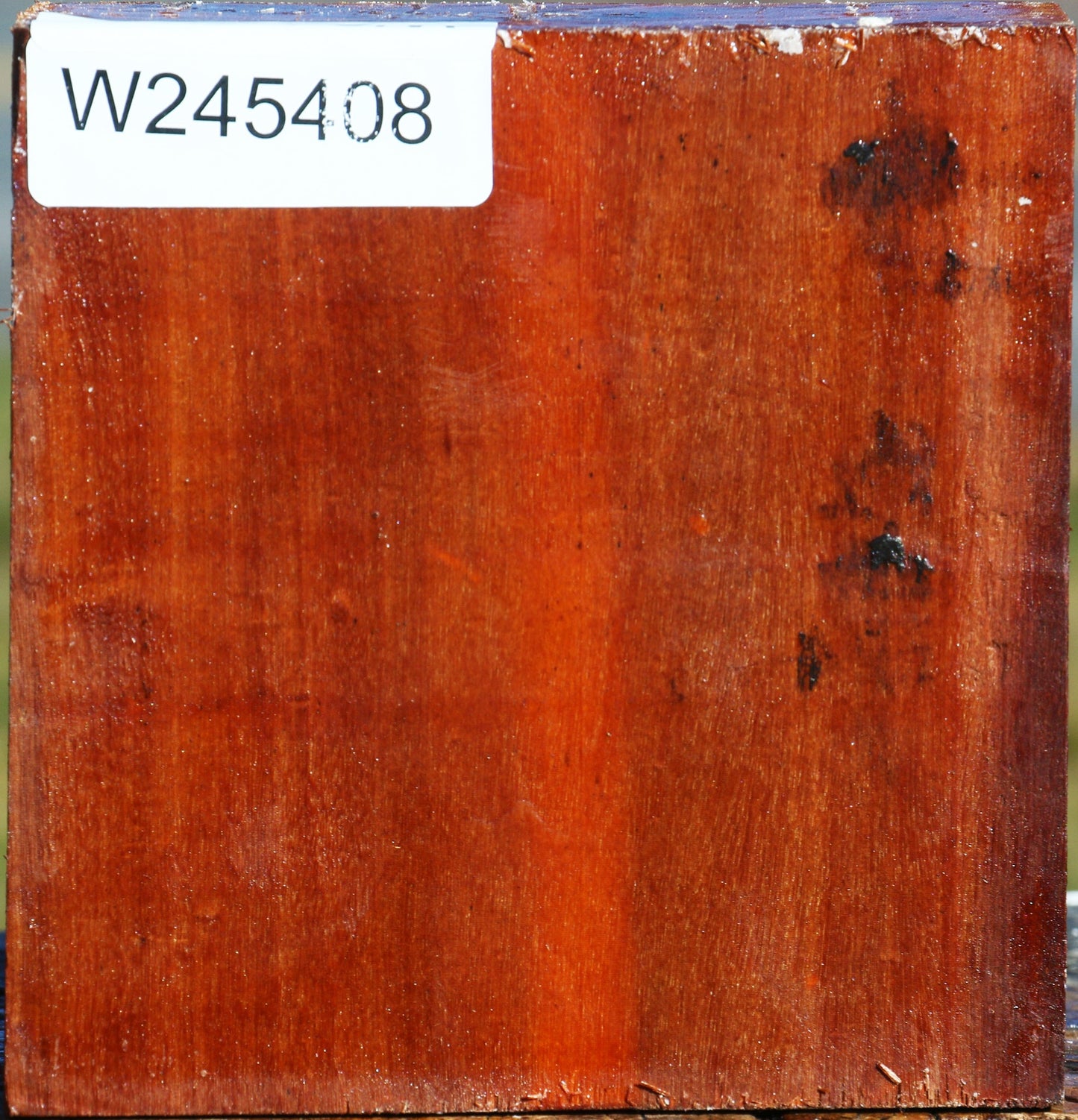 Pernambuco Bowl Blank