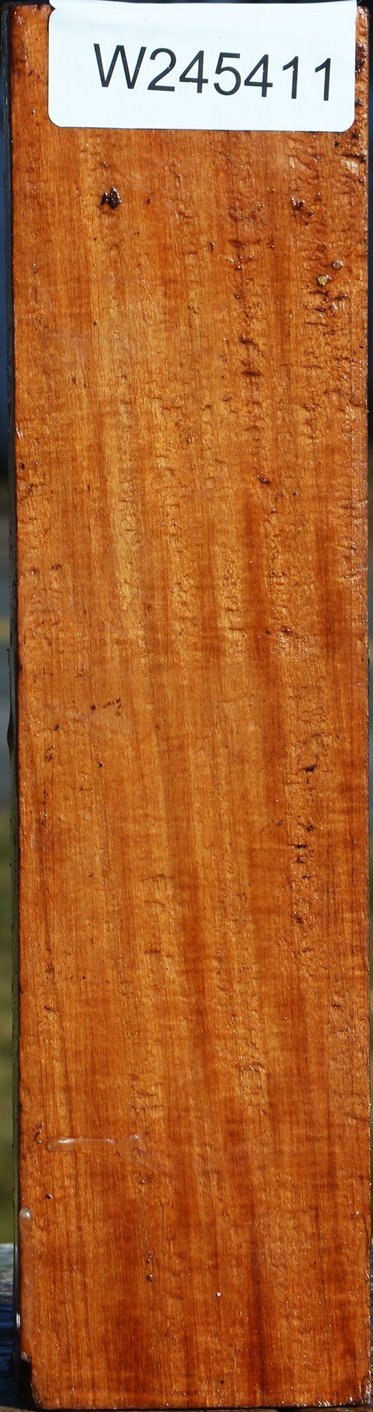 Pernambuco Peppermill