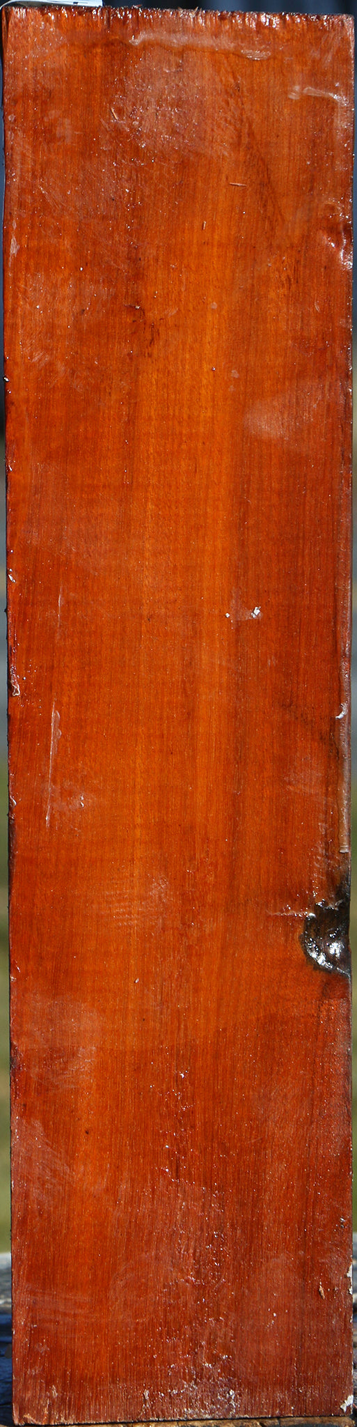 Pernambuco Peppermill