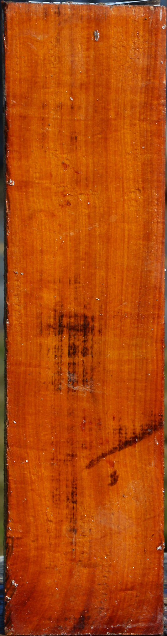 Figured Pernambuco Peppermill