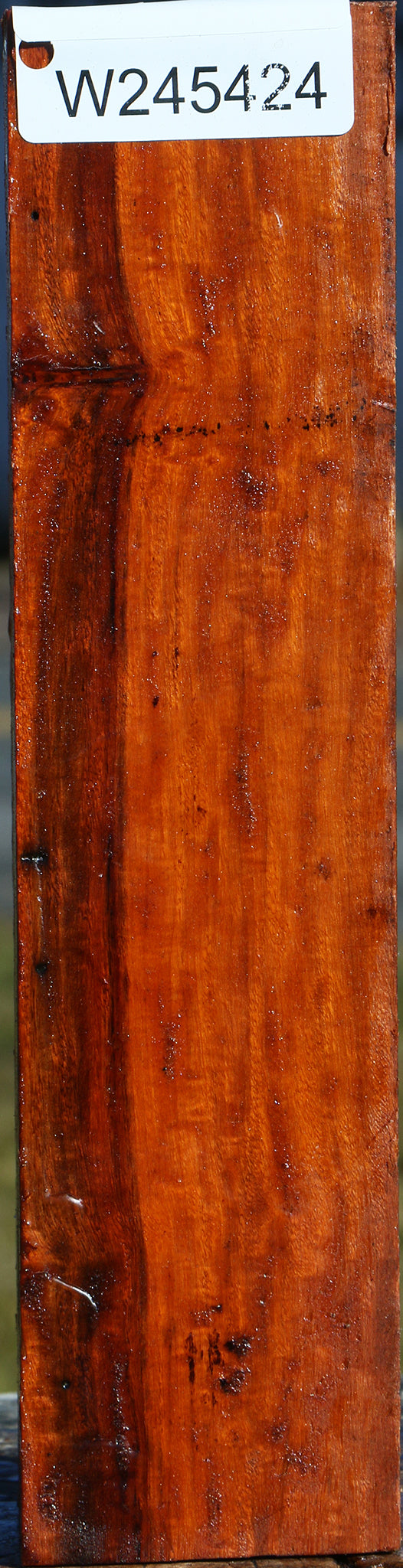 Figured Pernambuco Peppermill