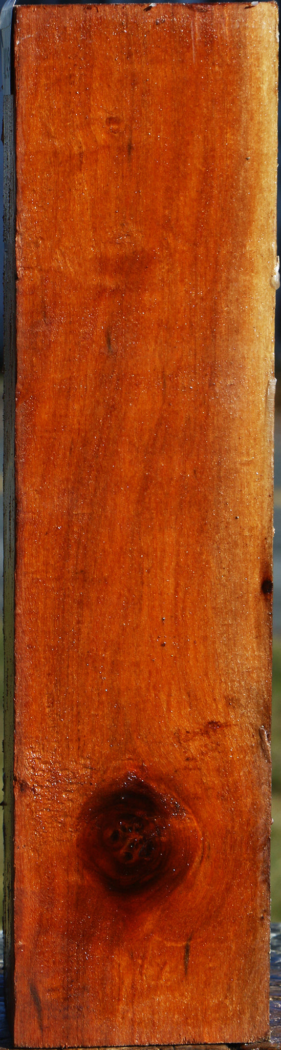 Figured Pernambuco Peppermill