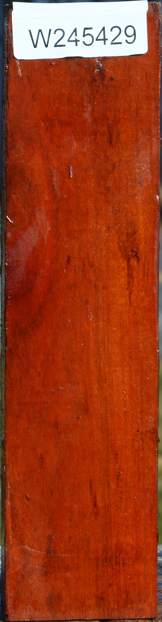 Pernambuco Peppermill