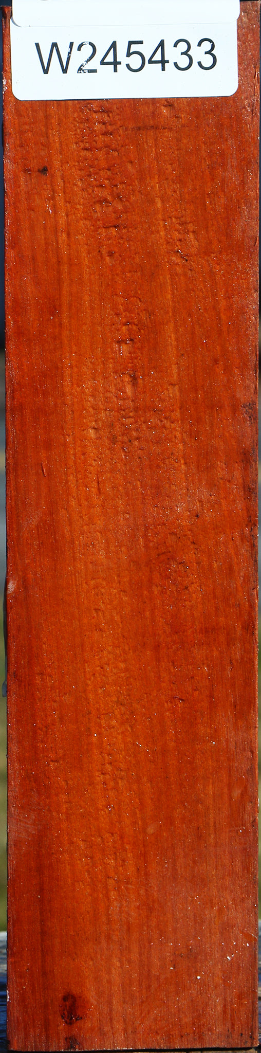 Pernambuco Peppermill