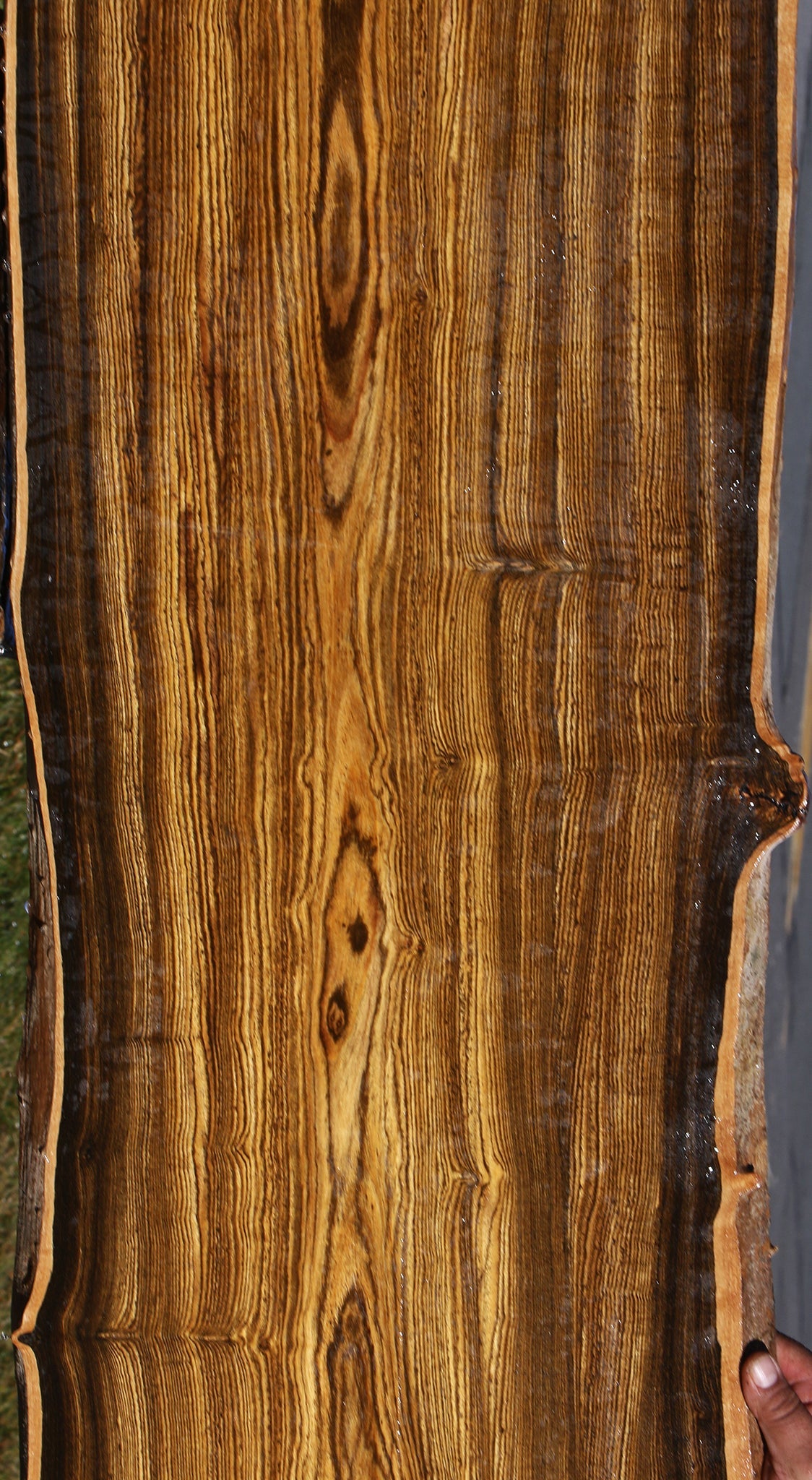 Figured Bocote Live Edge Slab (Free Shipping Excluded)