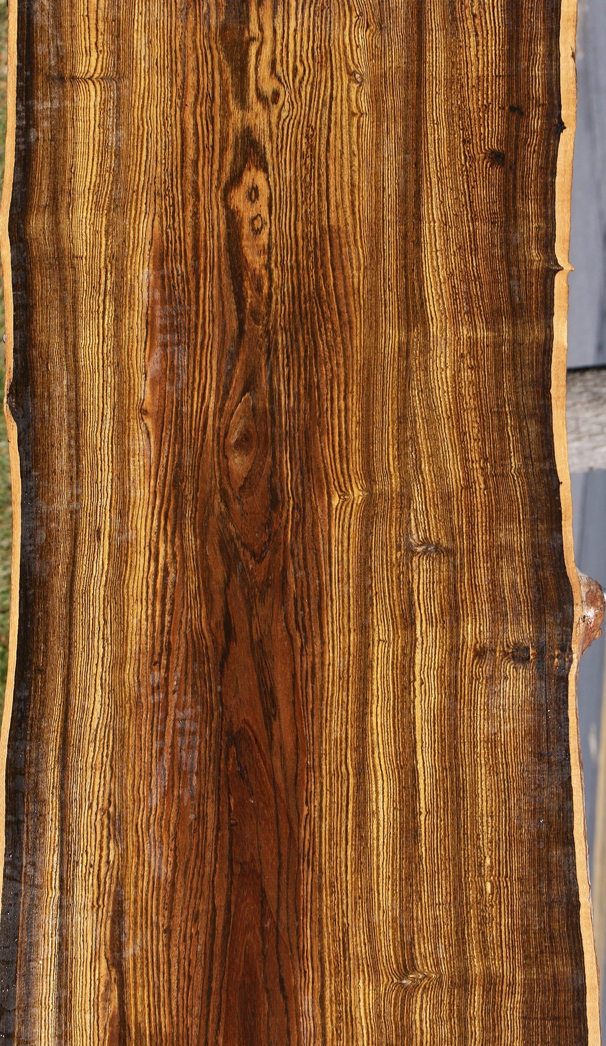 Figured Bocote Live Edge Slab (Free Shipping Excluded)